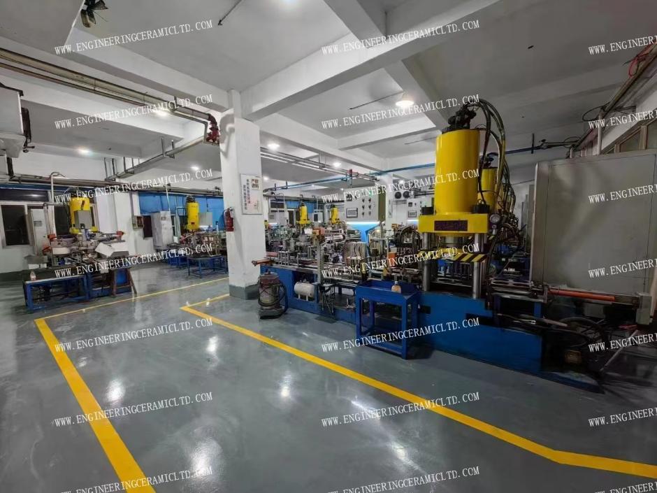 ¡Celebrando el Año del Caballo!